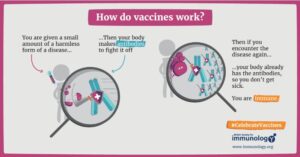 how-vaccines-work